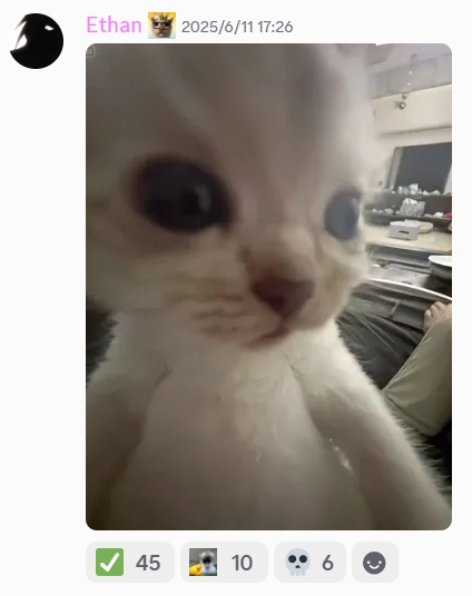 meme7.png