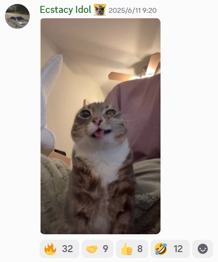 meme6.png