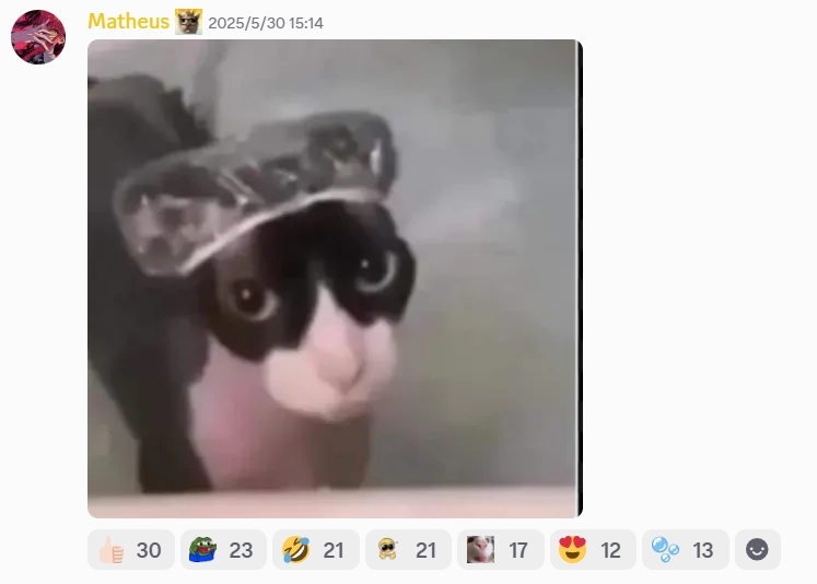 meme1.png